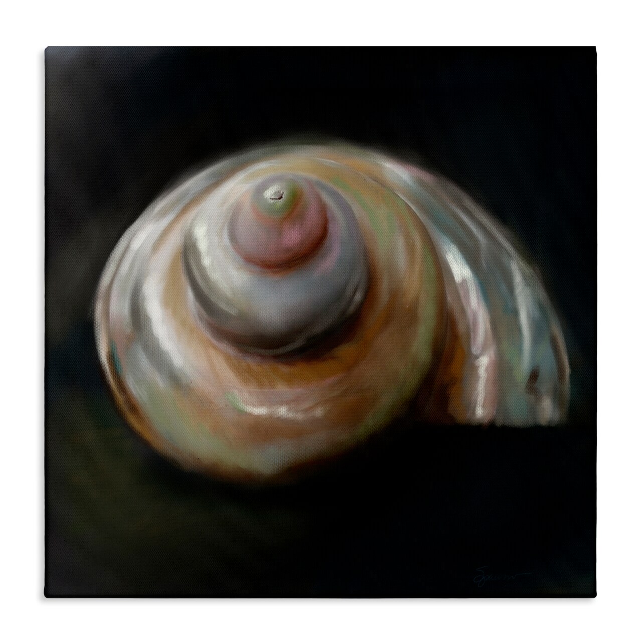 Stupell Industries Swirled Seashell Sea Treasure Canvas, design by Mary Sparrow